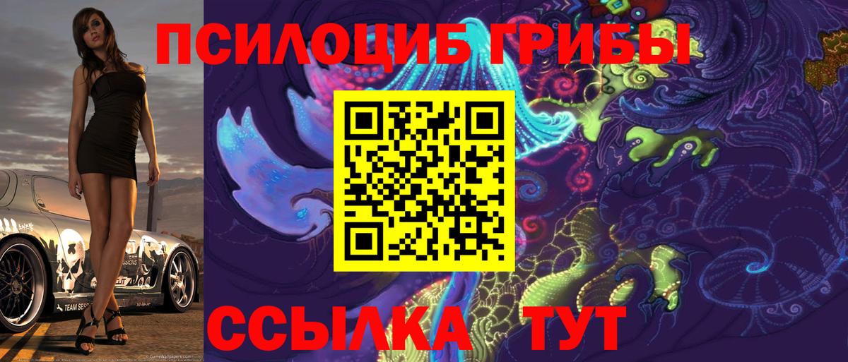Псилоцибиновые грибы MAGIC MUSHROOMS Советск