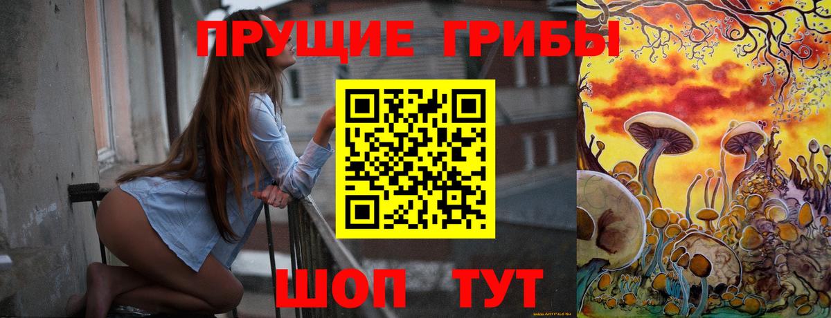Советск  Галлюциногенные грибы Psilocybe  Вход с VPN 