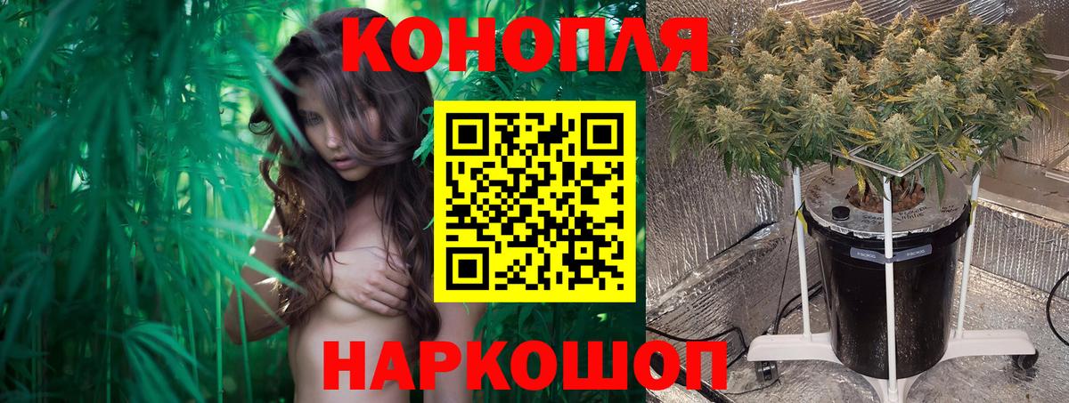 Бошки Шишки VHQ Советск